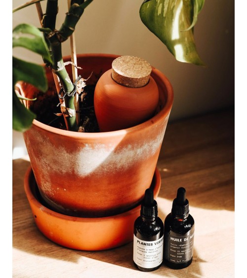 Olla hydratante - Vert