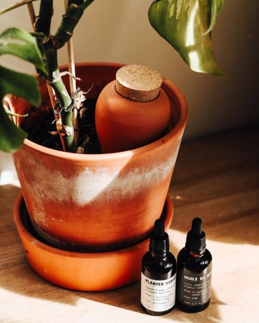 Olla hydratante - Vert