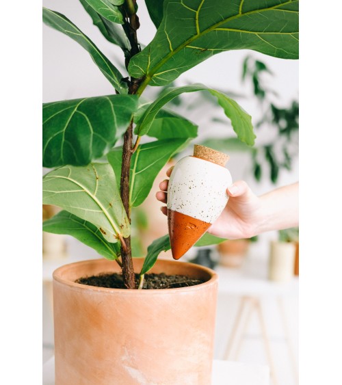 Olla hydratante - Vert