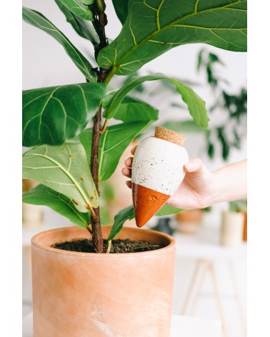 Olla hydratante - Vert