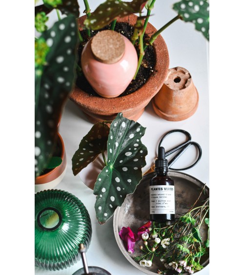 Olla hydratante - Vert