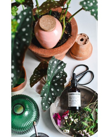 Olla hydratante - Vert