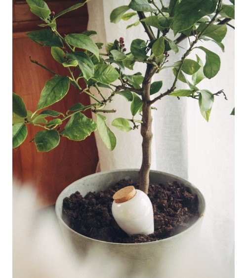 Olla hydratante - Blanc grainé