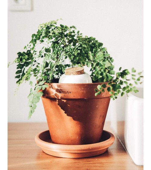 Olla hydratante - Blanc grainé