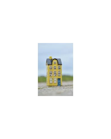 Maison haute jaune toit noir