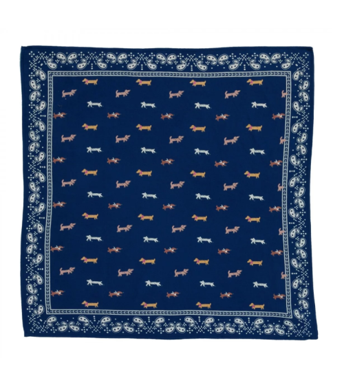 foulard Adult teckel indigo