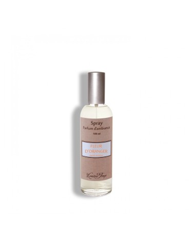 SPRAY VAPORISATEUR 100ML