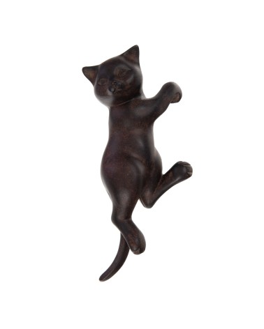 Chat suspendu foncé