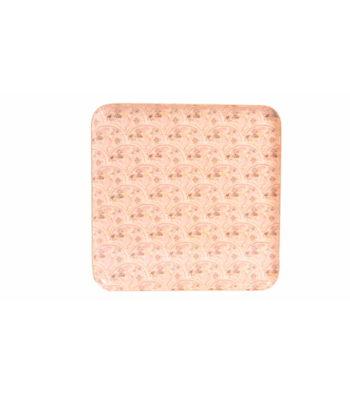 Plateau jaipur petit